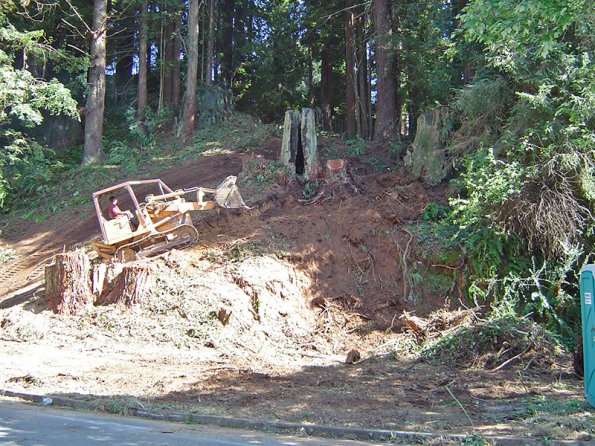 Site Excavation